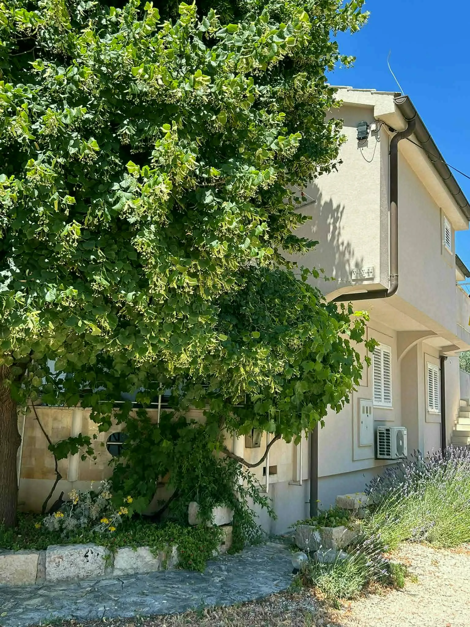 Ela Apartmani Sukošan — Vanjski prostor: kuća — vanjski pogled